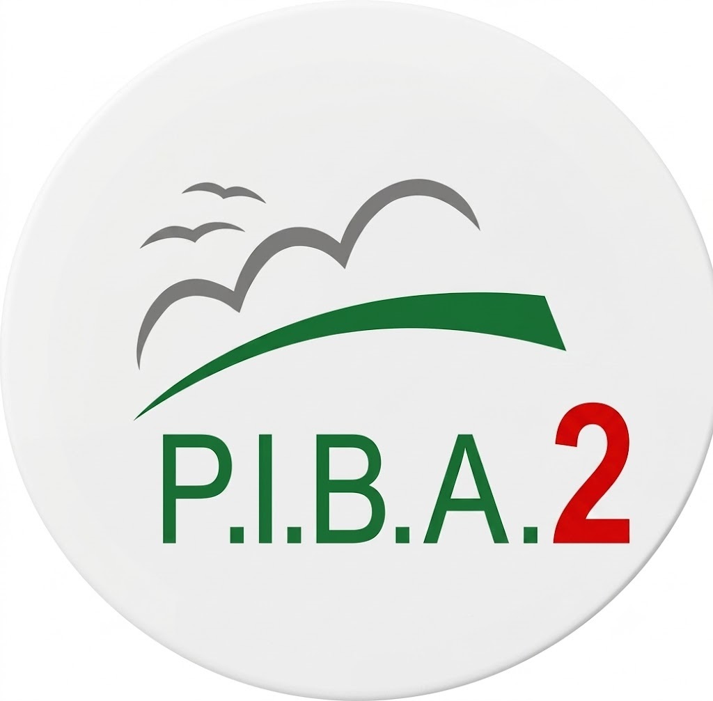 Logo P.I.B.A.2
